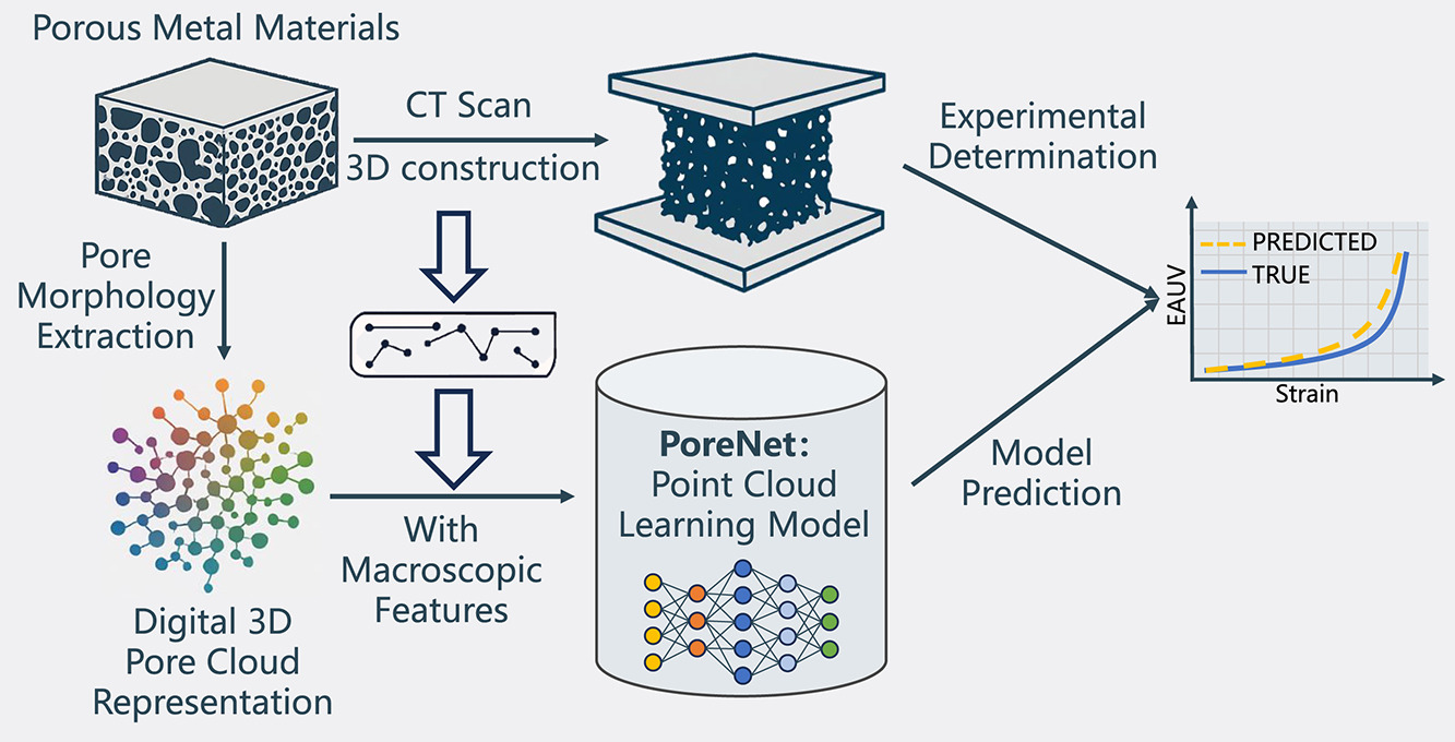 Graphical Abstract